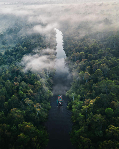 10 Amazon Rainforest Secrets That'll Blow Your Mind