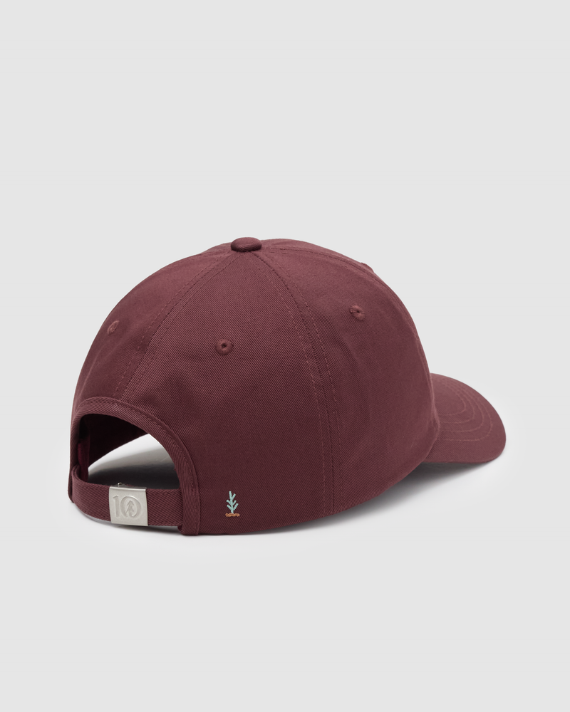 Red-Organic-Cotton-6-Panel-Low-Profile-Hat
