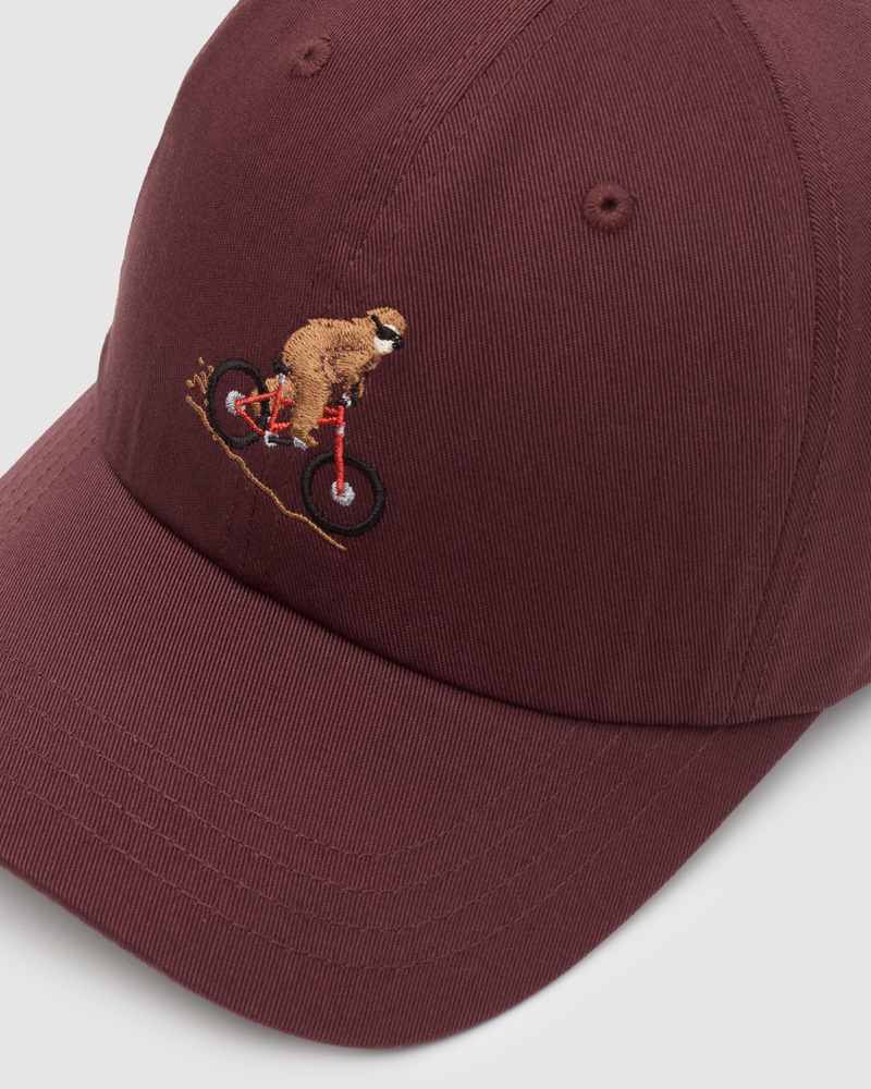 Red-Organic-Cotton-6-Panel-Low-Profile-Hat